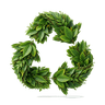 Closed-Loop Responsibility