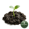 Artisanal Heritage & Earth-First Living